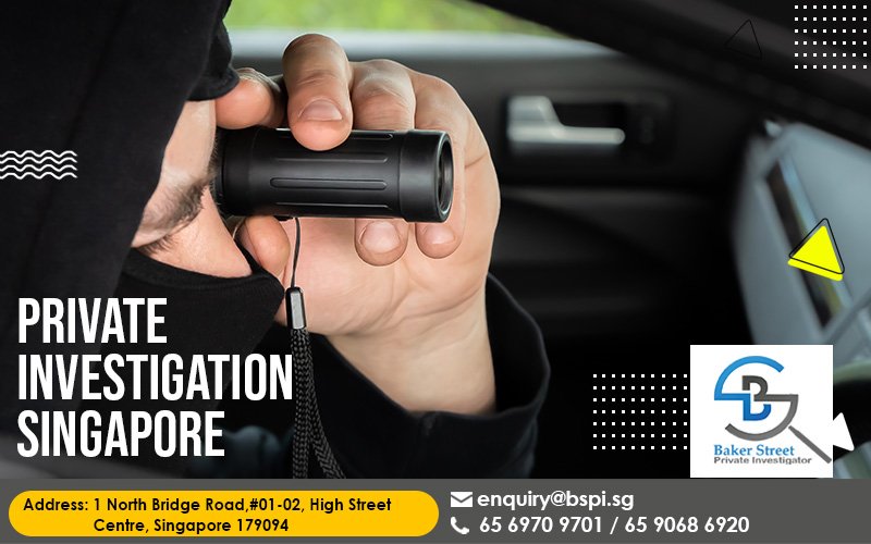 private investigation service
