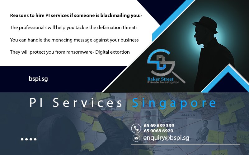 PI Services Singapore
