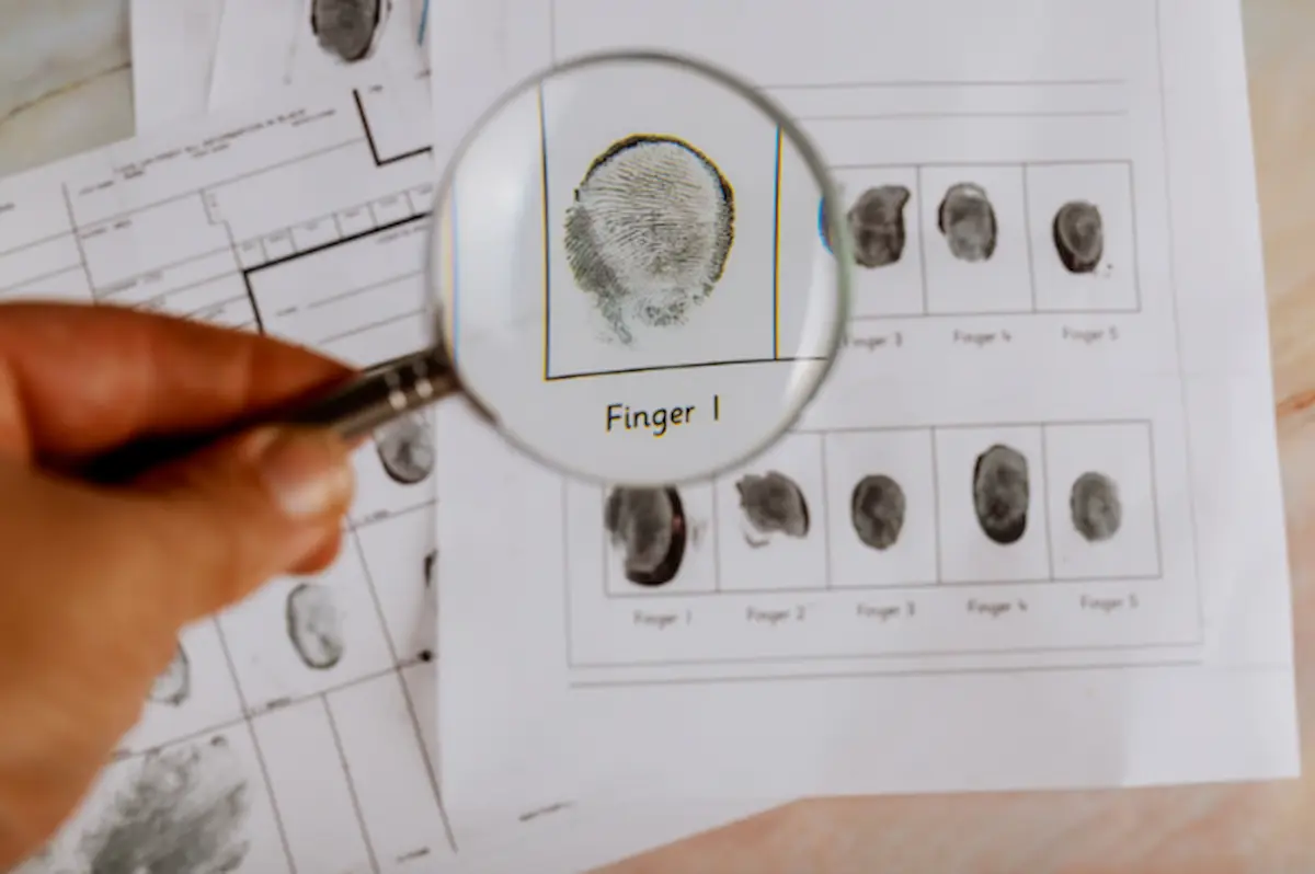 Best Private Investigator Singapore: How to Evaluate Expertise and Trust